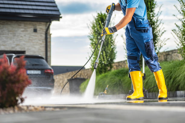 Best Patio and Deck Pressure Washing  in Pine Island, MN